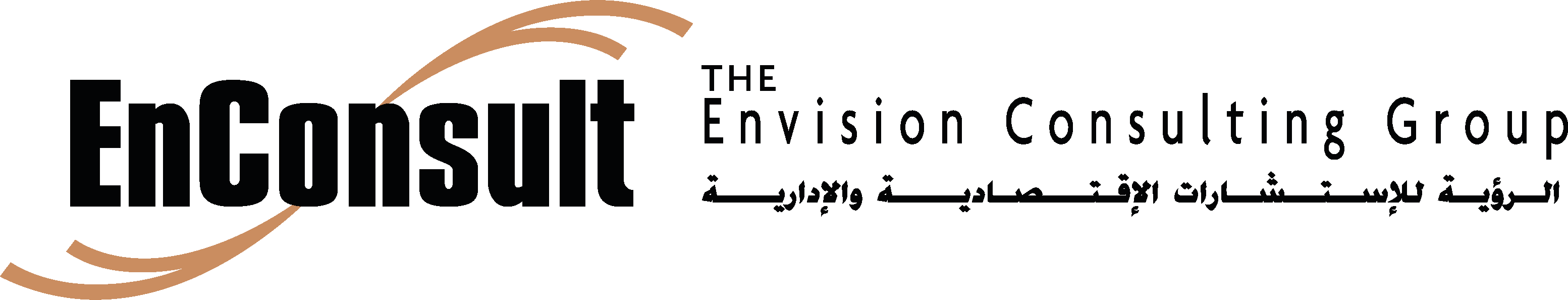 Envision Consulting Group